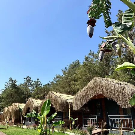 Pine Village Oeluedeniz Fethiye