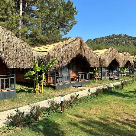 Pine Village Oeluedeniz