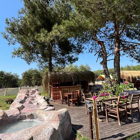 度假居 Pine Village Oeluedeniz 费特希耶