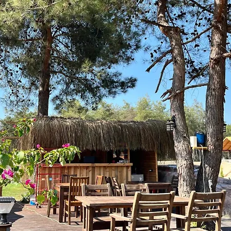Pine Village Oeluedeniz 度假居 费特希耶